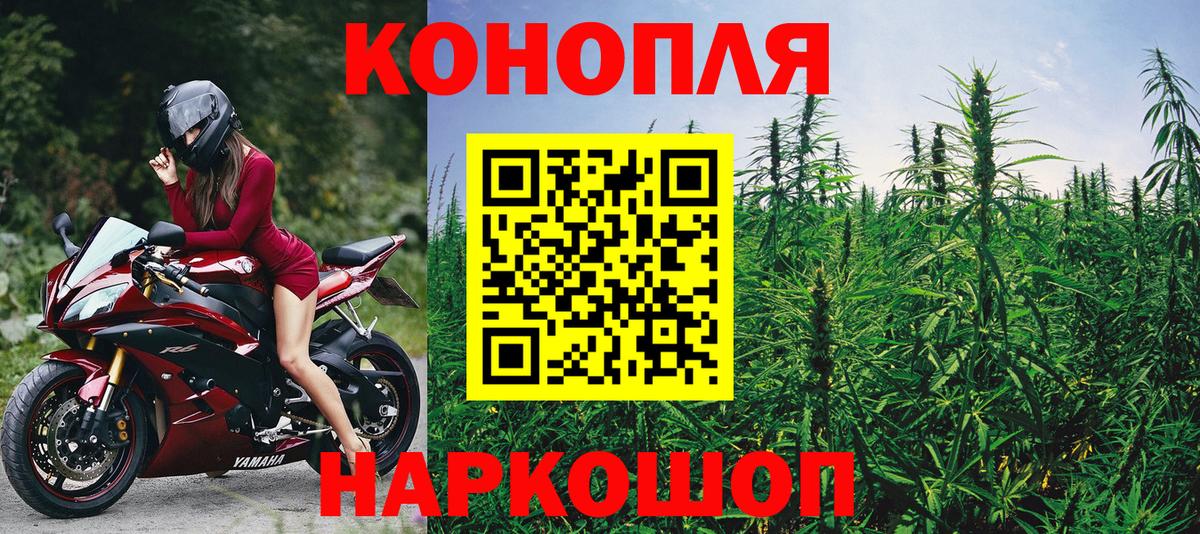 Бошки Шишки семена Нарткала